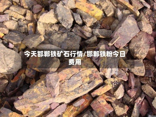 今天邯郸铁矿石行情/邯郸铁粉今日费用-第3张图片