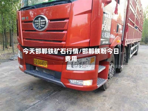 今天邯郸铁矿石行情/邯郸铁粉今日费用-第2张图片