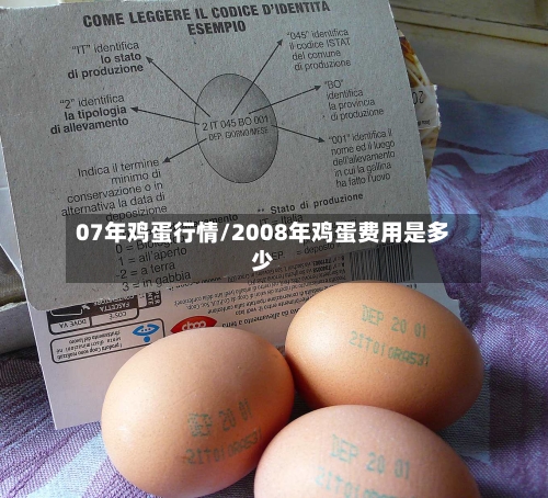 07年鸡蛋行情/2008年鸡蛋费用是多少