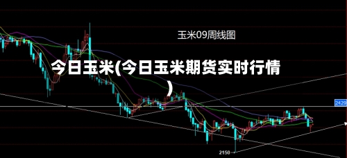今日玉米(今日玉米期货实时行情)