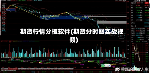 期货行情分板软件(期货分时图实战视频)-第2张图片