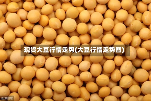 现货大豆行情走势(大豆行情走势图)