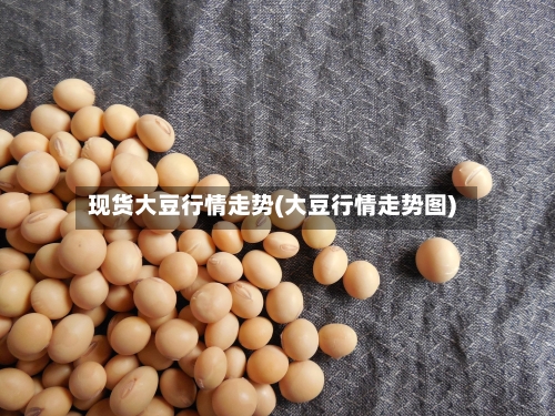 现货大豆行情走势(大豆行情走势图)-第2张图片