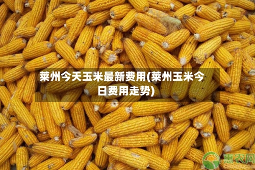 莱州今天玉米最新费用(莱州玉米今日费用走势)-第3张图片