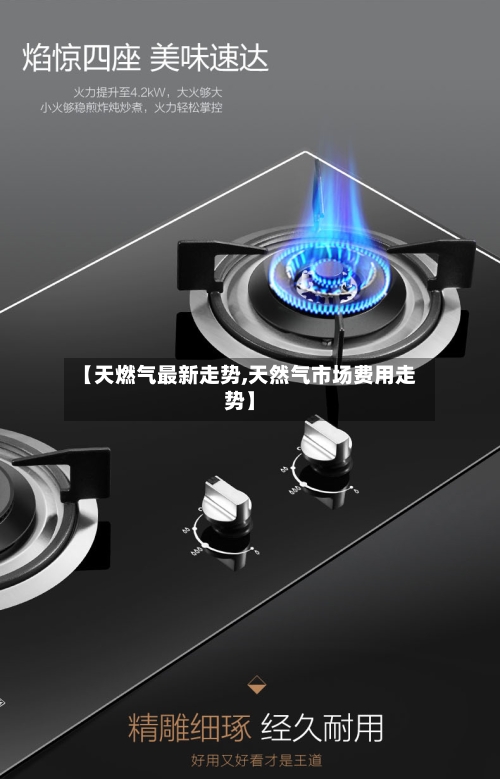 【天燃气最新走势,天然气市场费用走势】