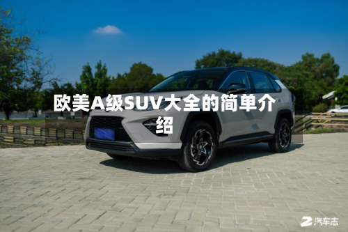欧美A级SUV大全的简单介绍-第2张图片