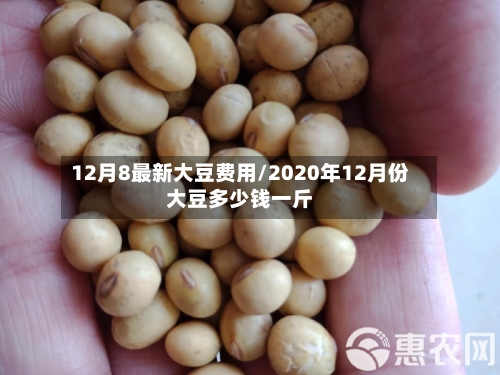 12月8最新大豆费用/2020年12月份大豆多少钱一斤