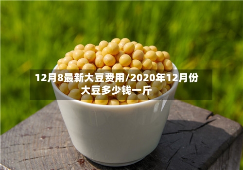 12月8最新大豆费用/2020年12月份大豆多少钱一斤-第3张图片