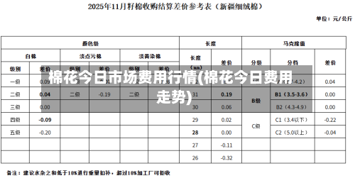 棉花今日市场费用行情(棉花今日费用走势)-第2张图片