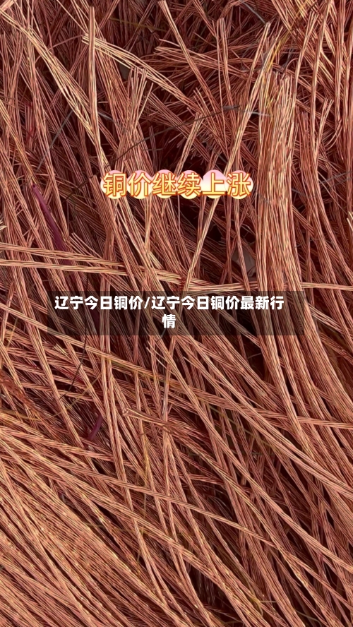 辽宁今日铜价/辽宁今日铜价最新行情-第3张图片
