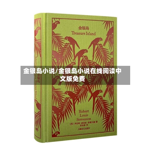 金银岛小说/金银岛小说在线阅读中文版免费