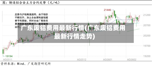 广东废铝费用最新行情(广东废铝费用最新行情走势)