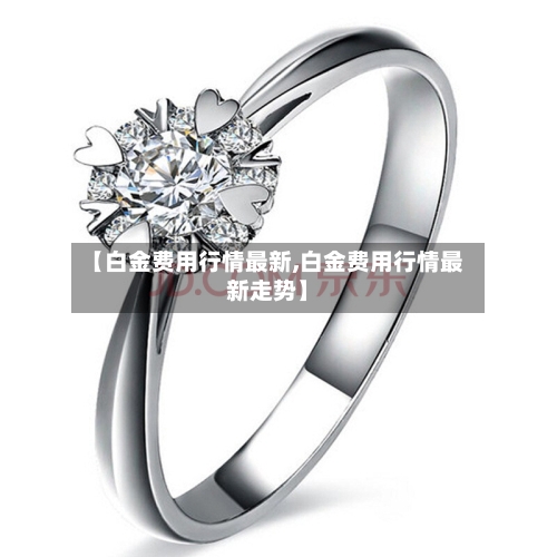 【白金费用行情最新,白金费用行情最新走势】