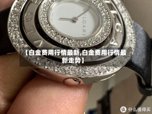 【白金费用行情最新,白金费用行情最新走势】-第2张图片