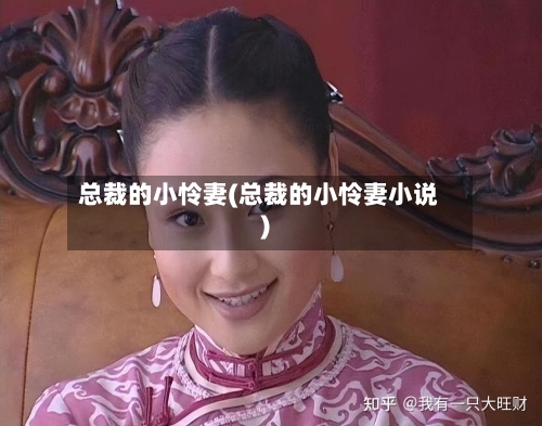 总裁的小怜妻(总裁的小怜妻小说)