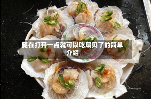 腿在打开一点就可以吃扇贝了的简单介绍