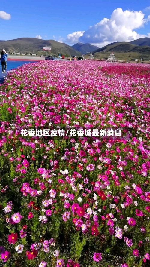 花香地区疫情/花香城最新消息