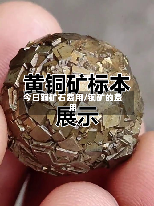 今日铜矿石费用/铜矿的费用-第2张图片