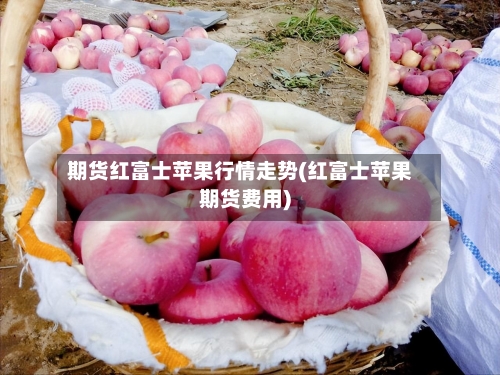 期货红富士苹果行情走势(红富士苹果期货费用)