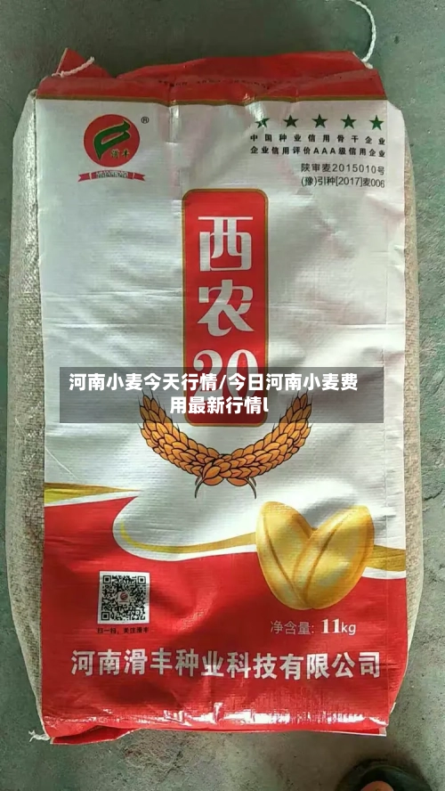 河南小麦今天行情/今日河南小麦费用最新行情l-第2张图片