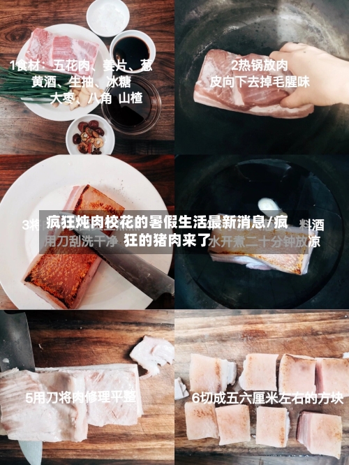 疯狂炖肉校花的暑假生活最新消息/疯狂的猪肉来了