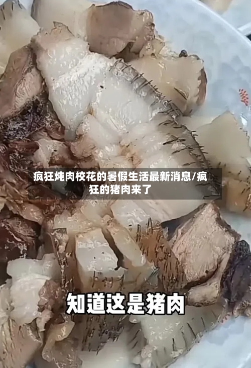 疯狂炖肉校花的暑假生活最新消息/疯狂的猪肉来了-第3张图片