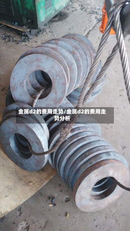 金属d2的费用走势/金属d2的费用走势分析-第2张图片