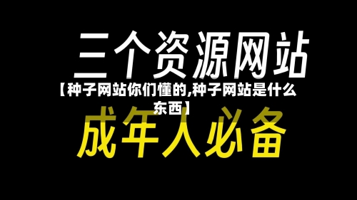 【种子网站你们懂的,种子网站是什么东西】