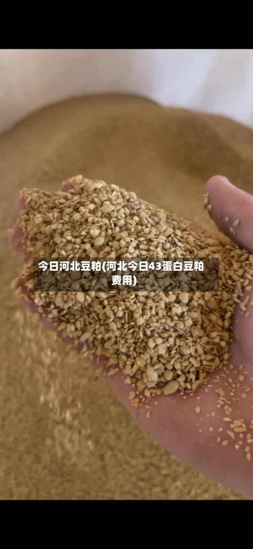 今日河北豆粕(河北今日43蛋白豆粕费用)-第2张图片