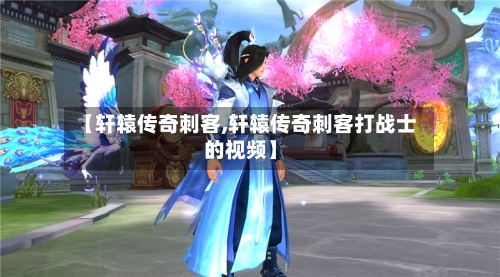 【轩辕传奇刺客,轩辕传奇刺客打战士的视频】-第3张图片
