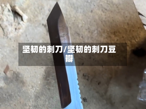 坚韧的刺刀/坚韧的刺刀豆瓣