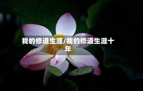 我的修道生涯/我的修道生涯十年-第2张图片