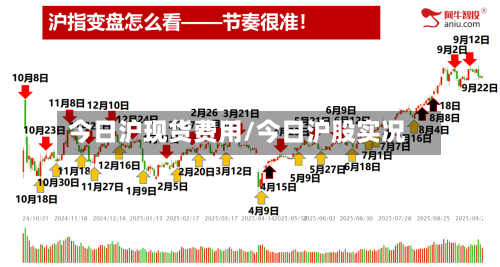 今日沪现货费用/今日沪股实况-第3张图片