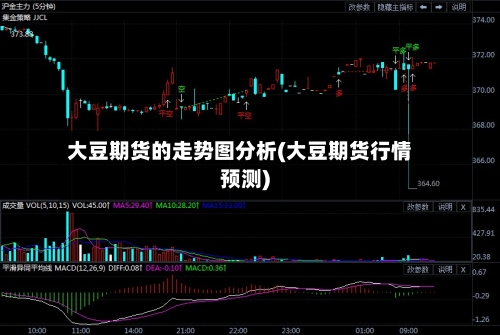 大豆期货的走势图分析(大豆期货行情预测)-第2张图片