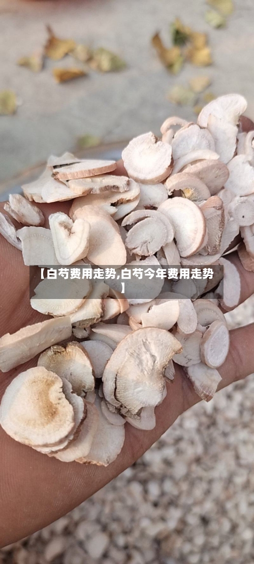 【白芍费用走势,白芍今年费用走势】