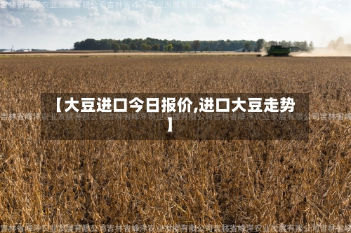 【大豆进口今日报价,进口大豆走势】