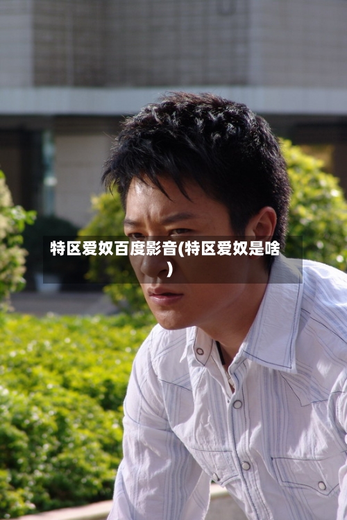 特区爱奴百度影音(特区爱奴是啥)-第3张图片