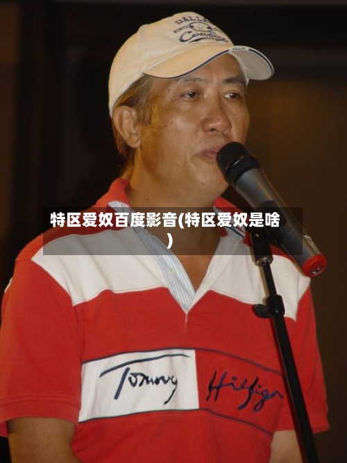 特区爱奴百度影音(特区爱奴是啥)