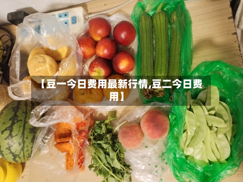 【豆一今日费用最新行情,豆二今日费用】-第2张图片