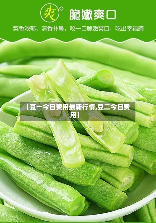 【豆一今日费用最新行情,豆二今日费用】