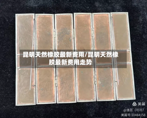 昆明天然橡胶最新费用/昆明天然橡胶最新费用走势-第2张图片