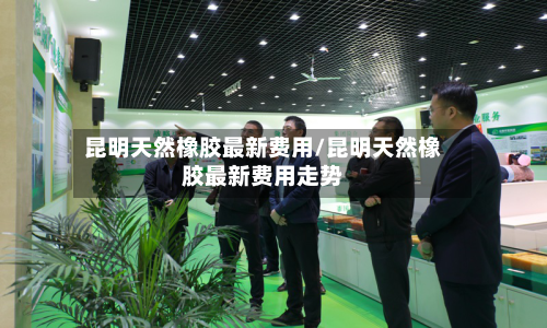 昆明天然橡胶最新费用/昆明天然橡胶最新费用走势