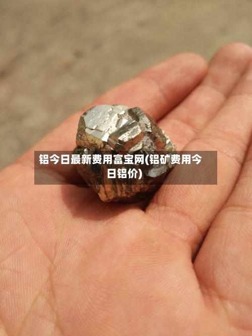 铝今日最新费用富宝网(铝矿费用今日铝价)