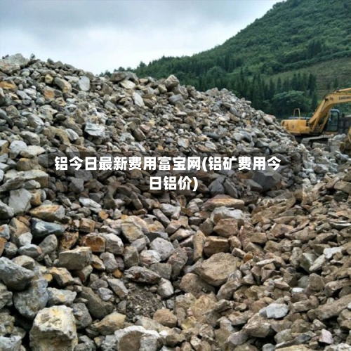 铝今日最新费用富宝网(铝矿费用今日铝价)-第2张图片