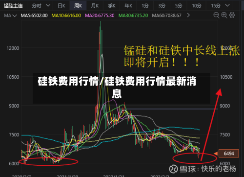 硅铁费用行情/硅铁费用行情最新消息
