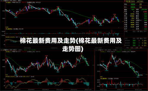 棉花最新费用及走势(棉花最新费用及走势图)-第3张图片