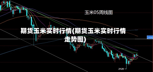 期货玉米实时行情(期货玉米实时行情走势图)-第2张图片