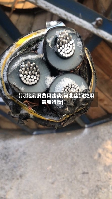 【河北废铜费用走势,河北废铜费用最新行情j】