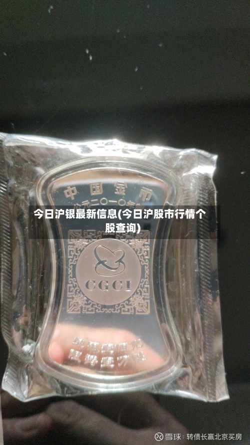 今日沪银最新信息(今日沪股市行情个股查询)-第2张图片