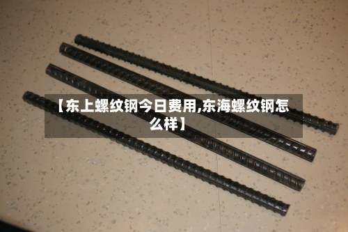 【东上螺纹钢今日费用,东海螺纹钢怎么样】